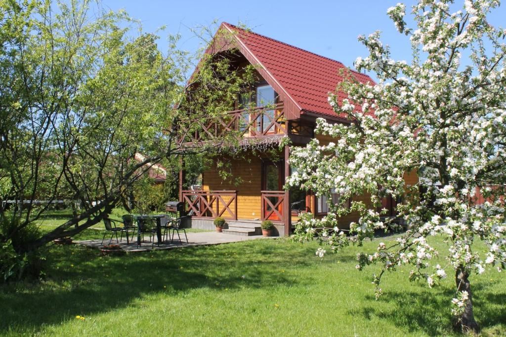 Дома для отпуска Brīvdienu Māja AMRAI Вентспилс-35